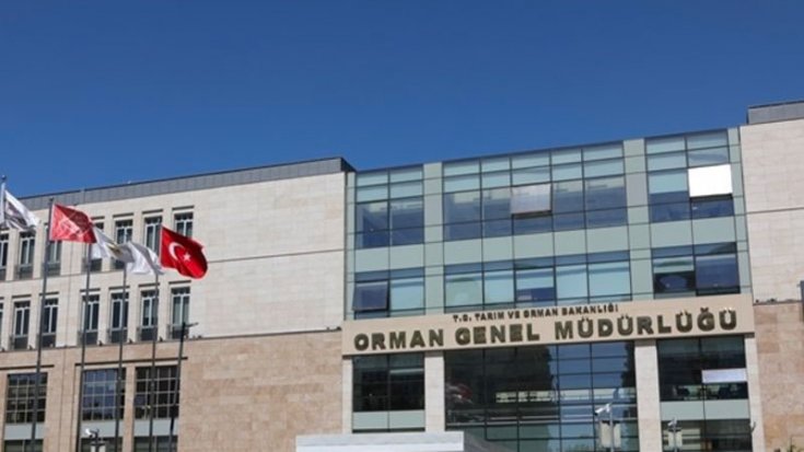 'Orman Genel Müdürlüğü'nde 3850 personelin görevine son verilecek' iddiası