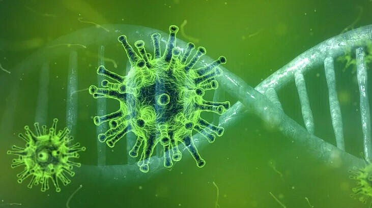 Uzmanlar koronavirüsün iyileşen bazı hastalarda bir süre daha varlığını korumaya devam edebildiğini tespit etti