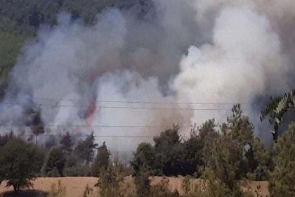 Adana, Antalya ve Çanakkale’de orman yangınları