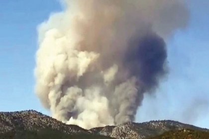 Ankara'da orman yangını