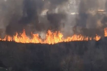 Antalya'da 2 dönüm makilik alan yandı