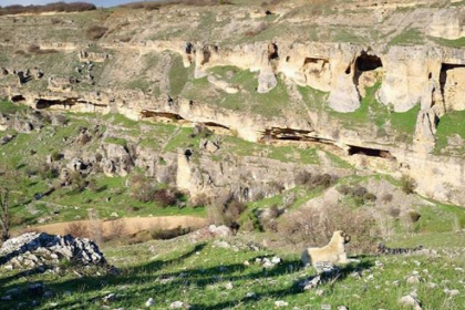 Arkeolojik sit alanına taş ocağı ruhsatı verildi, köylüler: 'Burası ikinci Hasankeyf olmasın'