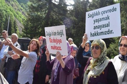 Artvin'de doğa da kale de kurtuldu