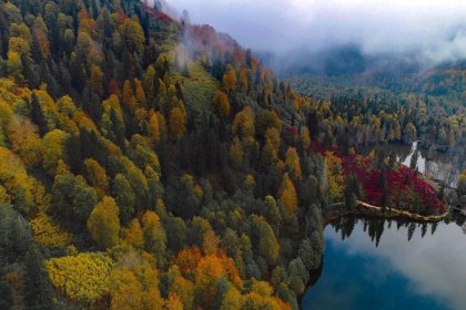 Artvin'de sonbaharla birlikte doyumsuz görüntüler