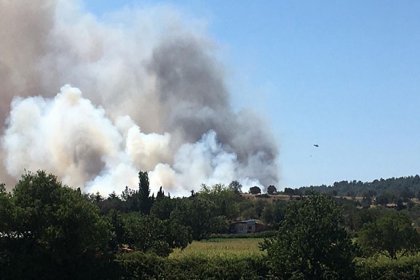 Çanakkale'de orman yangını