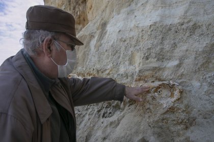 Edirne'de köylüler mamut fosili buldular