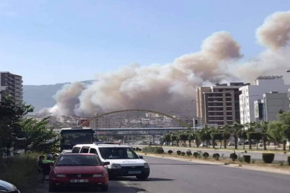 Hatay'da orman yangını: Evlere de sıçradı