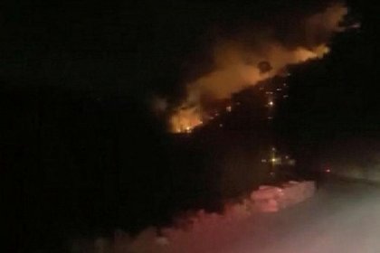 İzmir Menderes'te orman yangını