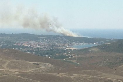 İzmir'de orman yangını