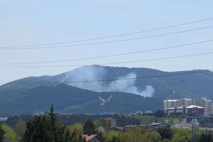 Kartal'da orman yangını