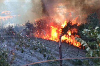 Kozan'da ormanlık alanda yine yangın çıktı