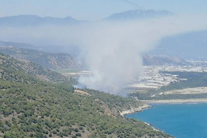 Muğla'da orman yangını