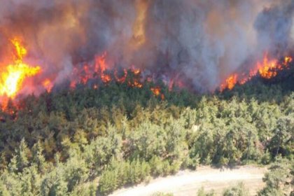 Son 1,5 yılda 3 bin 720 orman yangını meydana geldi