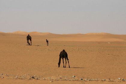 Suudi Arabistan’da 120 bin yıllık ayak izleri bulundu