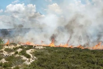 Tuzla'da otluk alanda yangın