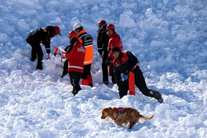 Van'da çığ altında kalan 4 kişinin cansız bedenine ulaşıldı