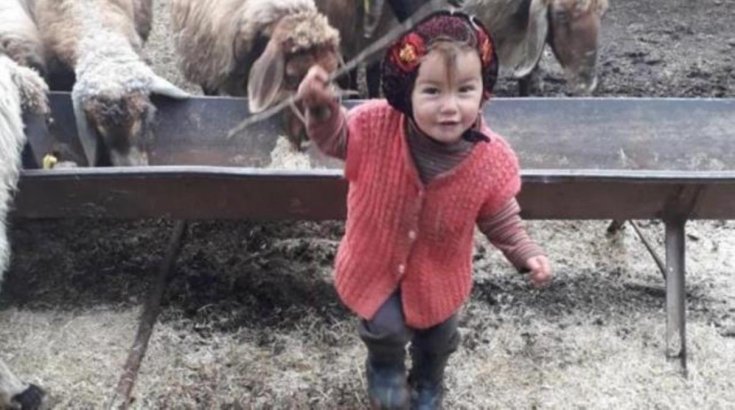 Aile ve Sosyal Hizmetler Bakanlığı'ndan 'Müslüme' açıklaması: Annesi ve 4 kardeşi koruma altına alındı Aile ve Sosyal Hizmetler Bakanlığı'ndan 'Müslüme' açıklaması: Annesi ve 4 kardeşi koruma altına alındı