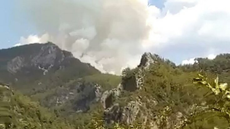 Alanya’da orman yangını
