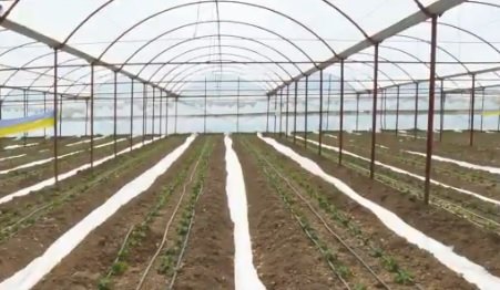 Antalya Büyükşehir Belediyesi dijital tarım sistemine geçiş çalışmalarına başladı Antalya Büyükşehir Belediyesi dijital tarım sistemine geçiş çalışmalarına başladı