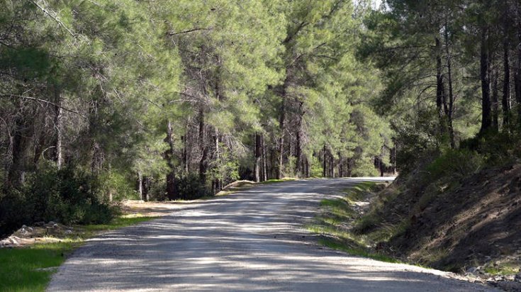 Antalya Büyükşehir Belediyesi 'Yeşilçam Yürüyüş ve Bisiklet Yolu Projesi' hazırladı Antalya Büyükşehir Belediyesi 'Yeşilçam Yürüyüş ve Bisiklet Yolu Projesi' hazırladı