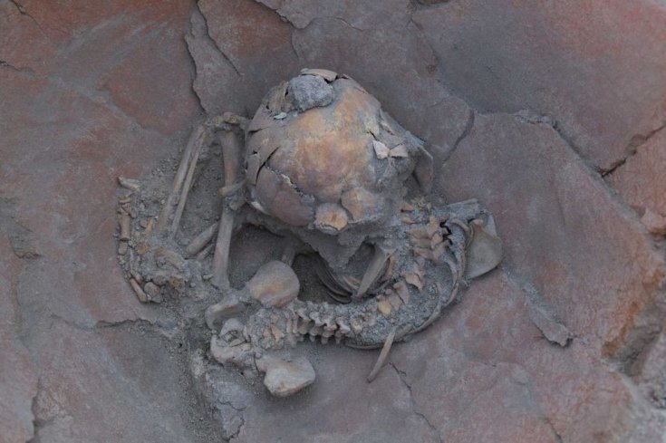Arslantepe Höyüğü'nde MÖ 3600 yılından kalma 2 çocuk iskeleti bulundu