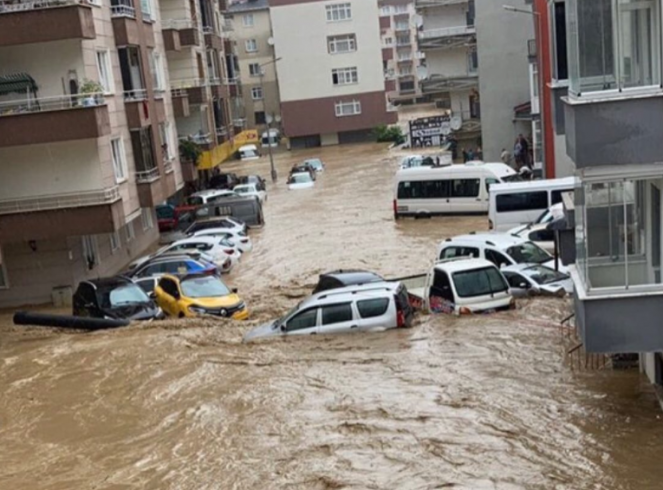 Artvin'deki sel felaketinde 430 ev ve iş yerini su bastı Artvin'deki sel felaketinde 430 ev ve iş yerini su bastı