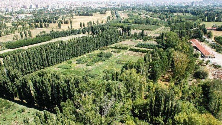 Atatürk Orman Çiftliği arazisi, metrekaresi 1,5 liradan kiraya çıkarıldı: 'Parsel parsel kira talanı yapılıyor'