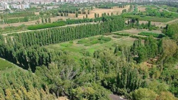 Atatürk Orman Çiftliği'ni ihaleye açan Bakan ve AOÇ Genel Müdürü hakkında suç duyurusu Atatürk Orman Çiftliği'ni ihaleye açan Bakan ve AOÇ Genel Müdürü hakkında suç duyurusu