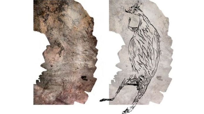 Avustralya'da 17 bin 300 yıllık kanguru resmi keşfedildi