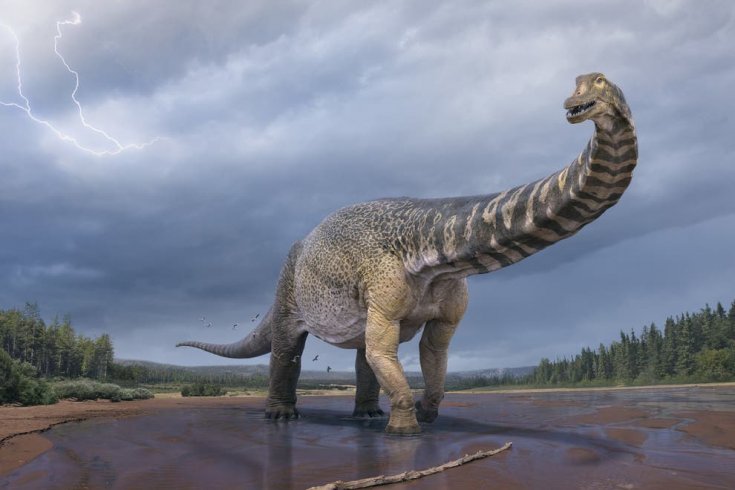 Avustralya’da yaşamış en büyük dinozor türlerinden biri keşfedildi