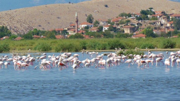 Bafa Gölü 261 farklı kuş türüne ev sahipliği yapıyor