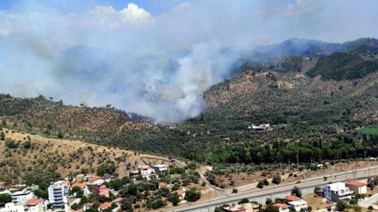 Bakan Pakdemirli:  Milas ve Köyceğiz dışındaki tüm orman yangınları kontrol altına alındı