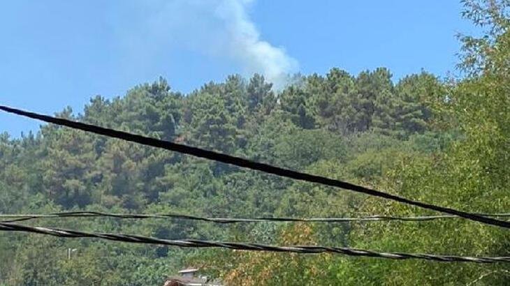 Beykoz'da ormanlık alanda yangın