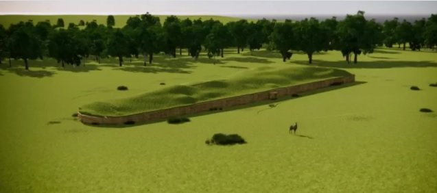 Bilim insanları DNA incelemesiyle dünyanın en eski soy ağacını ortaya çıkardı Bilim insanları DNA incelemesiyle dünyanın en eski soy ağacını ortaya çıkardı