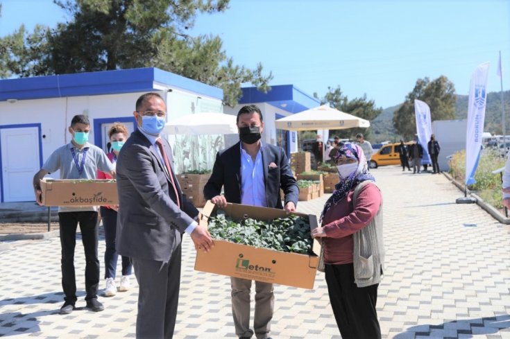 Bodrum Belediyesi 154 bin yazlık fideyi üreticilere hibe etti