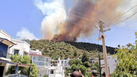 Bodrum'da yangın: 'Acil durumlar dışında trafiğe çıkmayın'