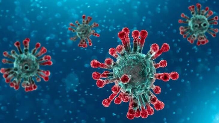 Brezilyalı araştırmacılar: Aynı anda iki farklı mutasyona yakalanan koronavirüs hastaları tespit edildi