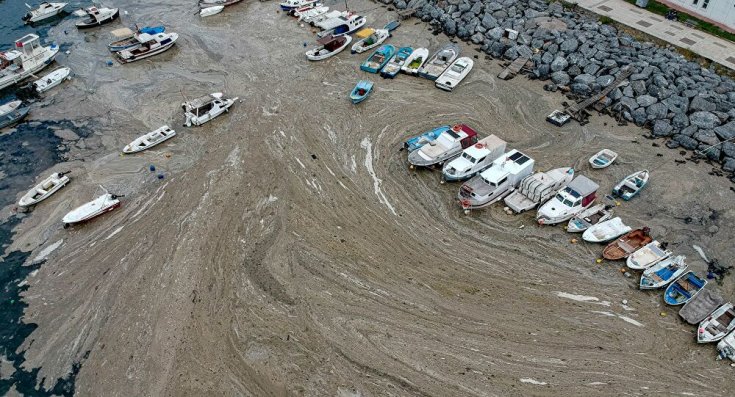 Bugün Dünya Çevre Günü: 'Doğayı korumak, kendi yaşamımızı korumak demek'