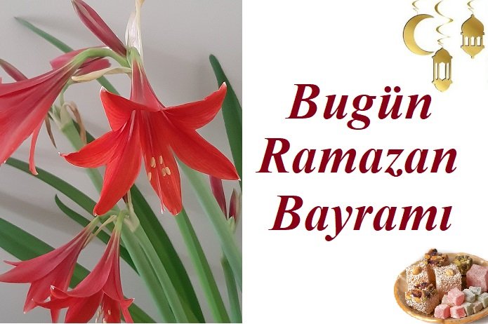 Bugün Ramazan Bayramı