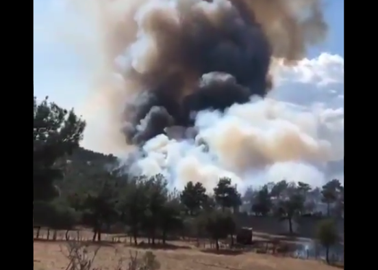 Çanakkale Bayramiç'te orman yangını