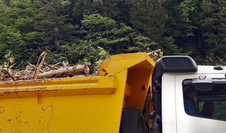 Cengiz İnşaat kestiği ağaçları, Bakan Karaismailoğlu'nun ziyareti öncesi kamyonlarla bölgeden uzaklaştırdı