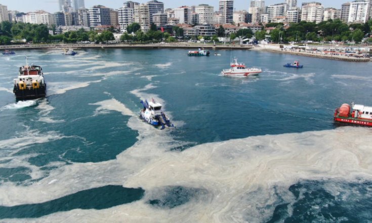 Çevre Mühendisleri Odası: Müsilaj eylem planlarından buram buram ihale kokuları geliyor Çevre Mühendisleri Odası: Müsilaj eylem planlarından buram buram ihale kokuları geliyor