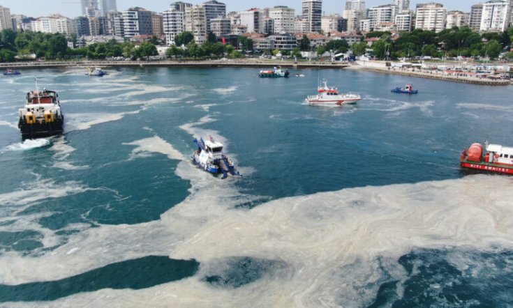 Çevre Mühendisleri Odası: Müsilaj eylem planlarından buram buram ihale kokuları geliyor