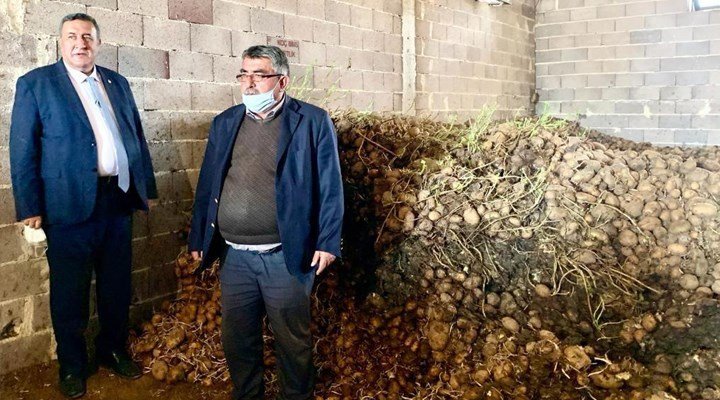 CHP'li Gürer: En az 100 bin ton patates çürüdü