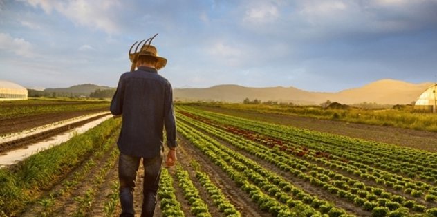 Çiftçi sayısındaki yıllık düşüş 300 bini bulabilir Çiftçi sayısındaki yıllık düşüş 300 bini bulabilir