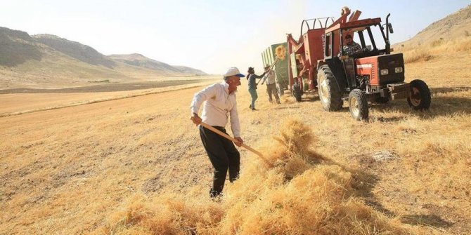 Çiftçi-Sen'den çağrı: Hububatta referans fiyatı yeniden belirlenmeli