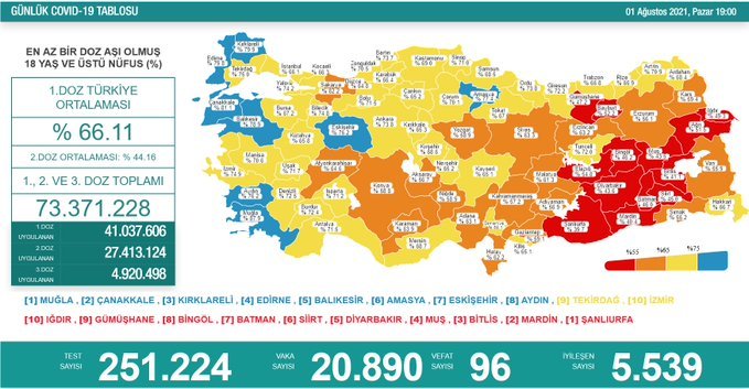 Covid_19, Türkiye'de 1 Ağustos'ta 96 toplamda 51.428 can aldı
