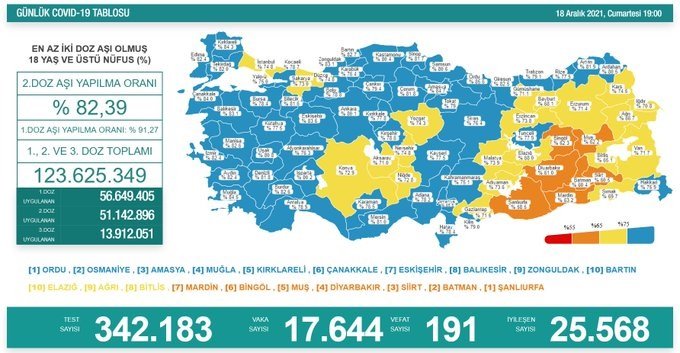 Covid-19, Türkiye'de 18 Aralık'ta 191 toplamda 80.120 can aldı