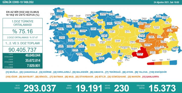 Covid_19, Türkiye'de 24 Ağustos'ta 230 toplamda 54.990 can aldı