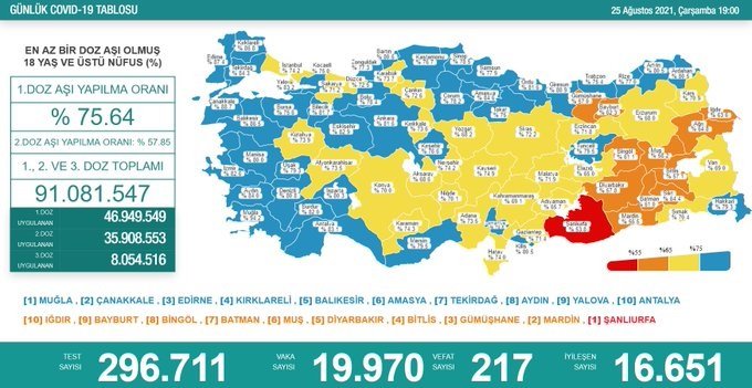 Covid_19, Türkiye'de 25 Ağustos'ta 217 toplamda 55.207 can aldı Covid_19, Türkiye'de 25 Ağustos'ta 217 toplamda 55.207 can aldı